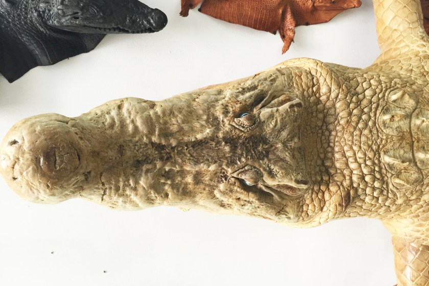 Labellecrush-crocshop04